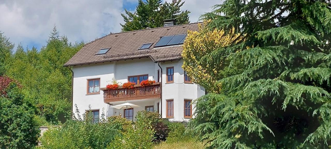 Apartament Wulf
