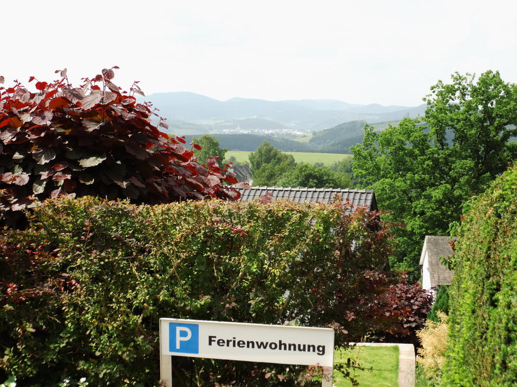 Apartament Wulf