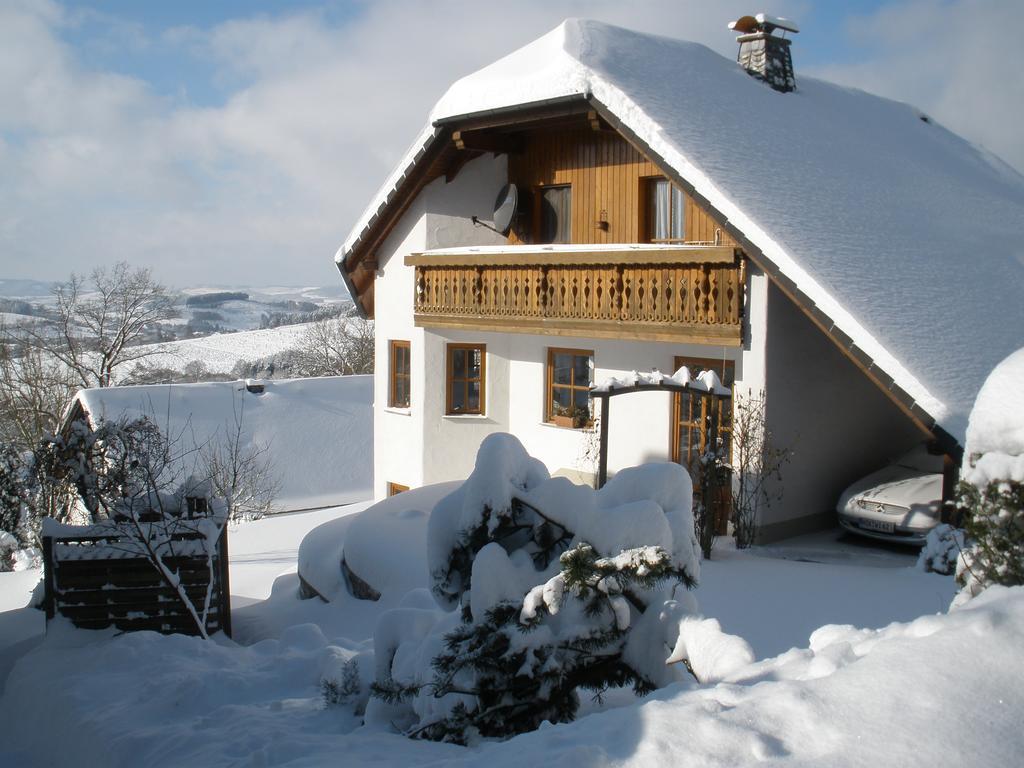 Apartament Wulf *